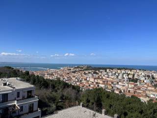 Vista