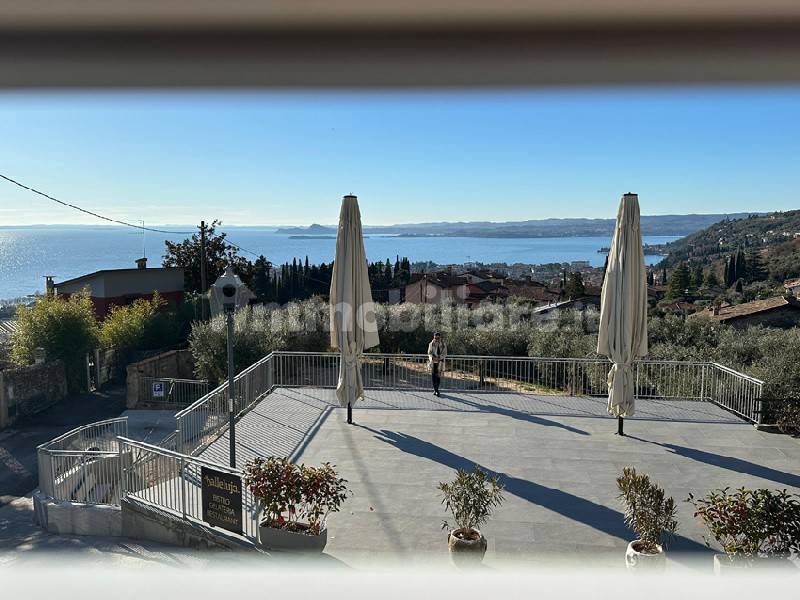 Vista