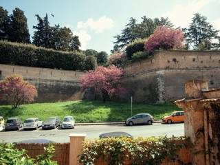 Zona