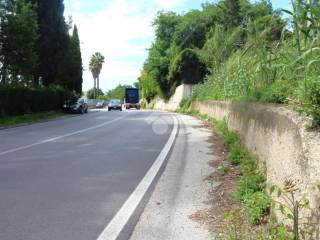 Zona