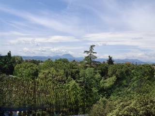 Vista