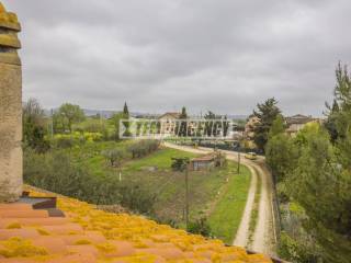 Vista