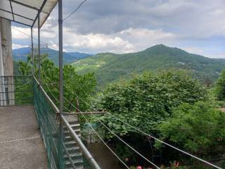 Vista