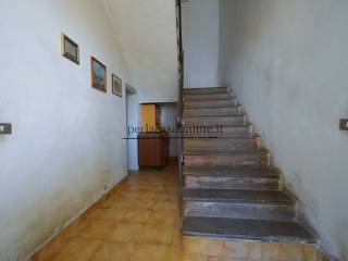 Ingresso