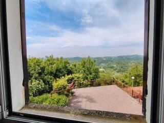 Vista