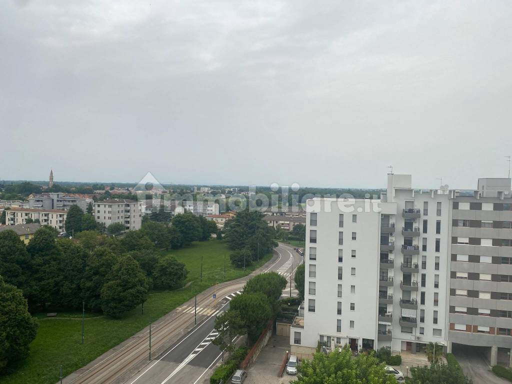 Vista