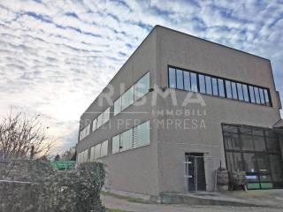 Vista