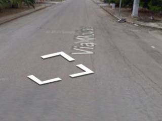 Zona