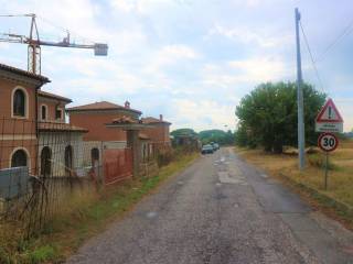 Zona