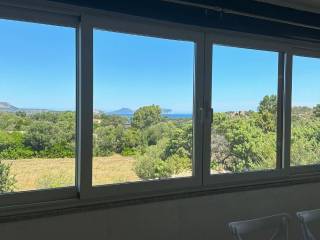 Vista
