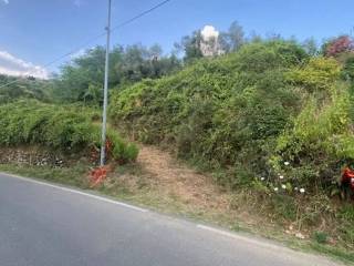 Zona