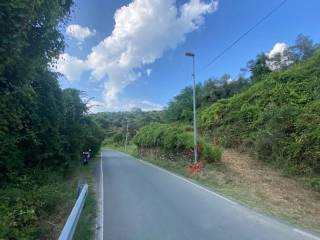 Zona