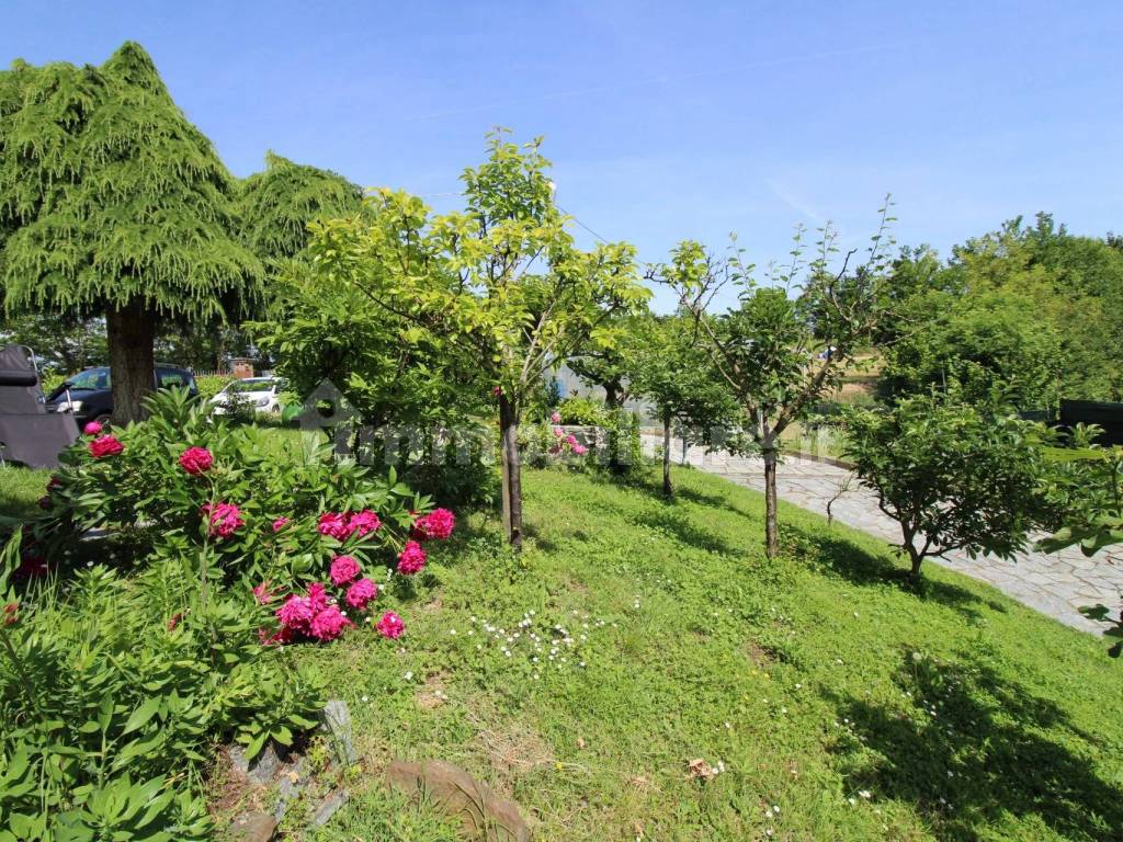 Giardino