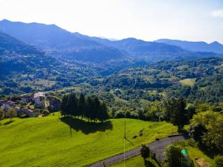 Vista