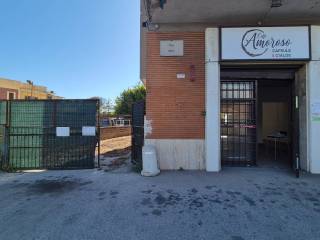 Ingresso