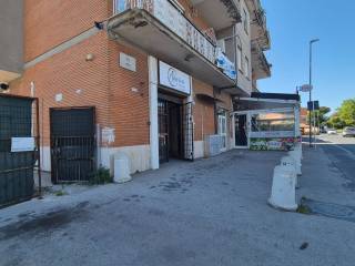 Zona