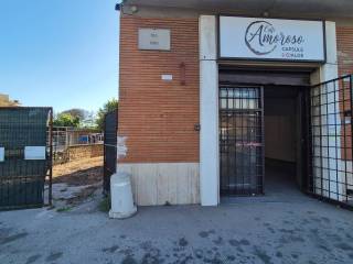 Ingresso