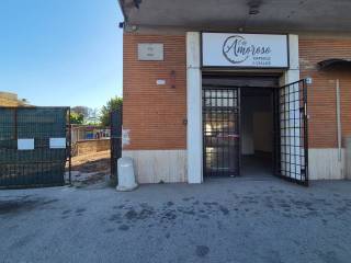Ingresso