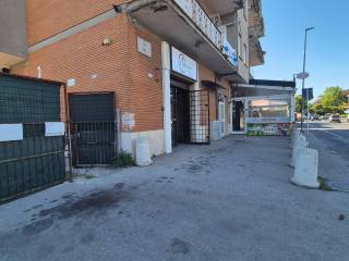 Zona