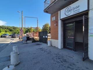 Zona