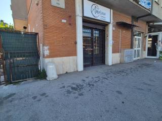 Zona
