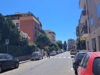Zona