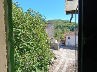 Ingresso