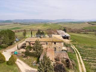 Vista
