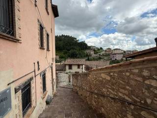 Zona