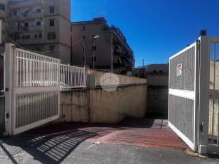 Zona