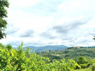 Vista