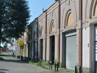 Zona