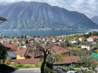 Vista