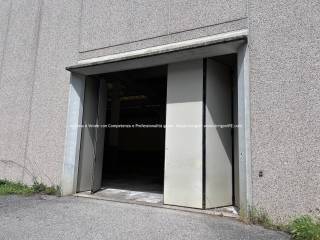 Ingresso