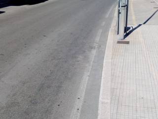 Zona