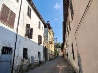 Zona