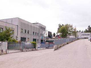 Zona