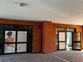 Ingresso