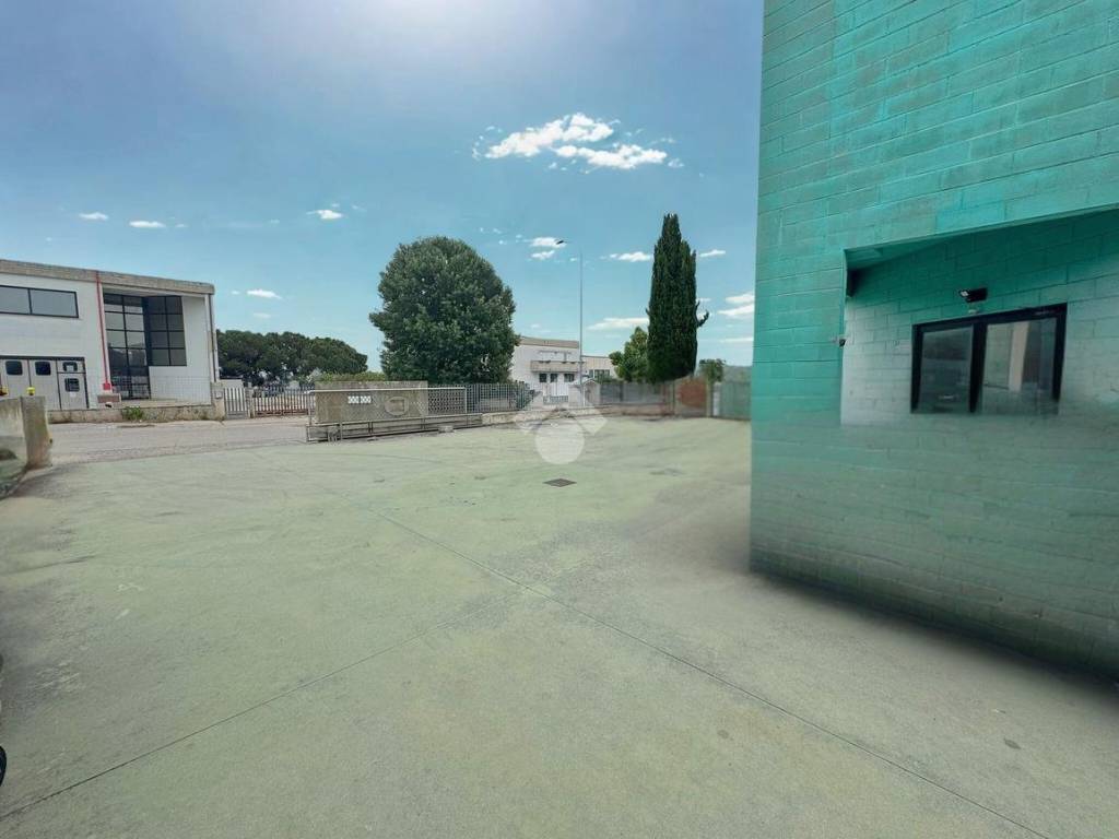 Terreno