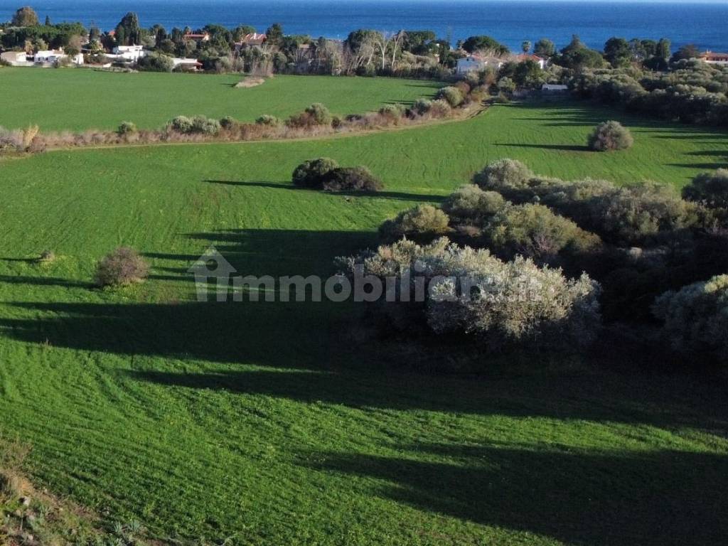 Terreno