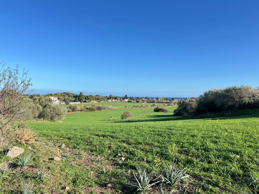 Terreno