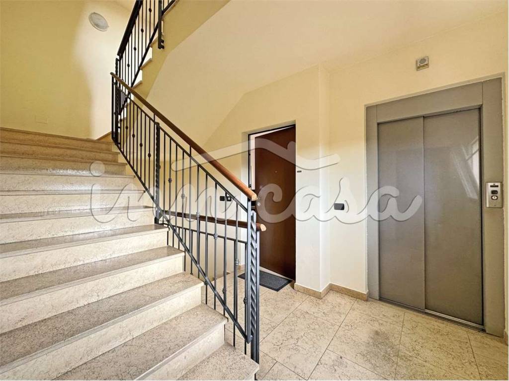 Ingresso