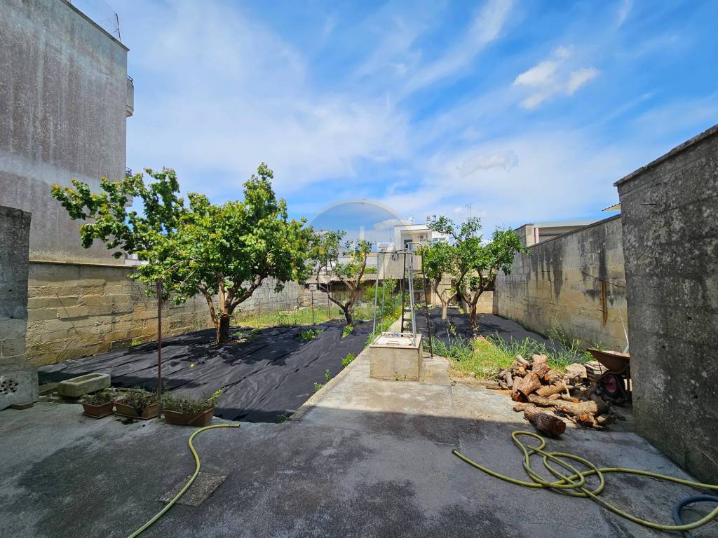 Giardino