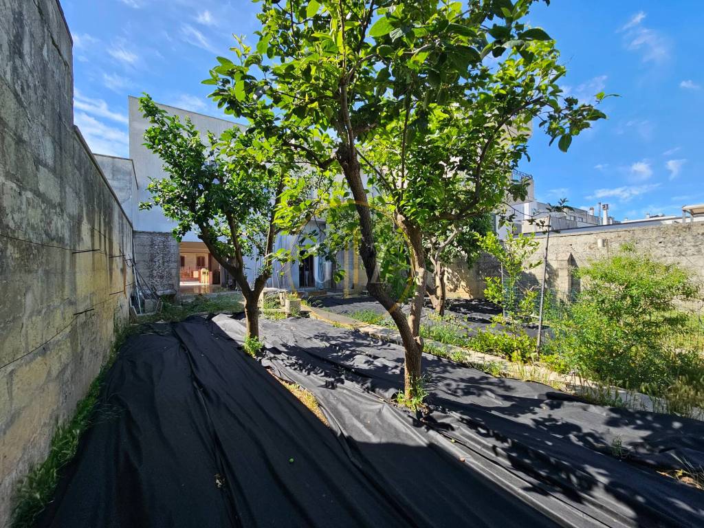 Giardino