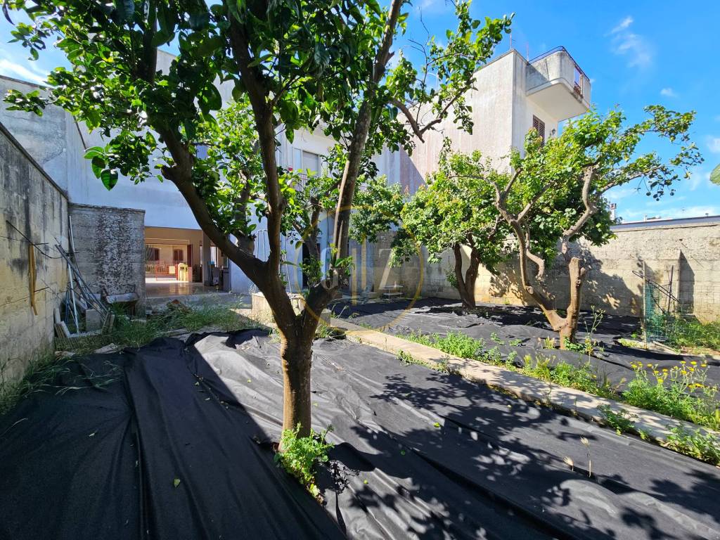 Giardino