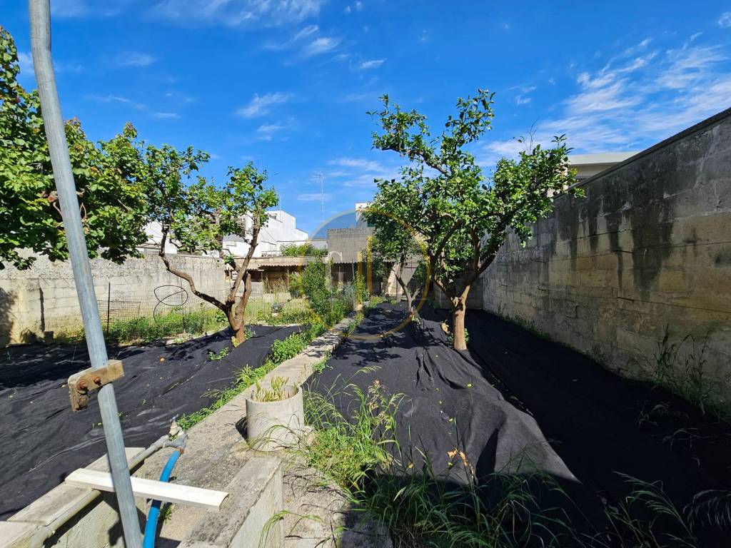 Giardino
