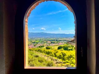 Vista
