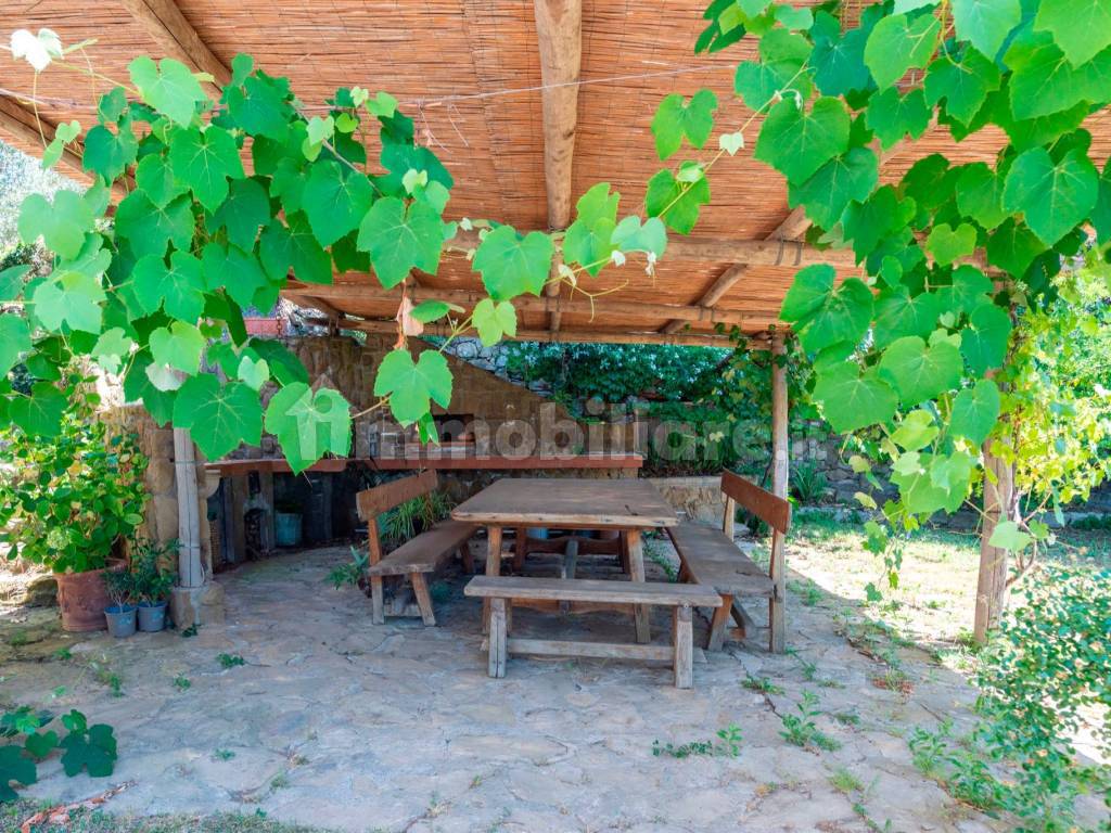 Giardino
