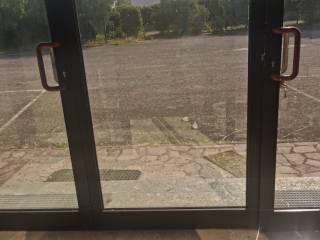 Ingresso