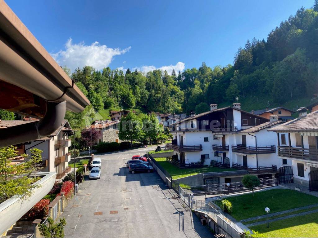 Vista
